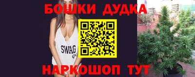 индика Заволжье