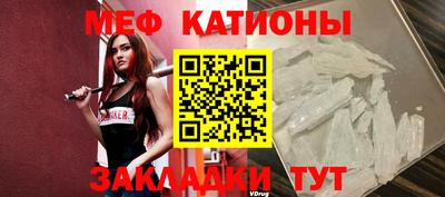 индика Заволжье