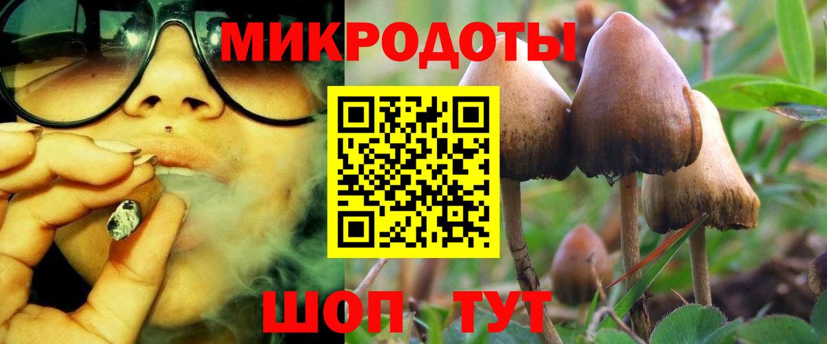 Галлюциногенные грибы Psilocybe  Вход с VPN  Ирбит 